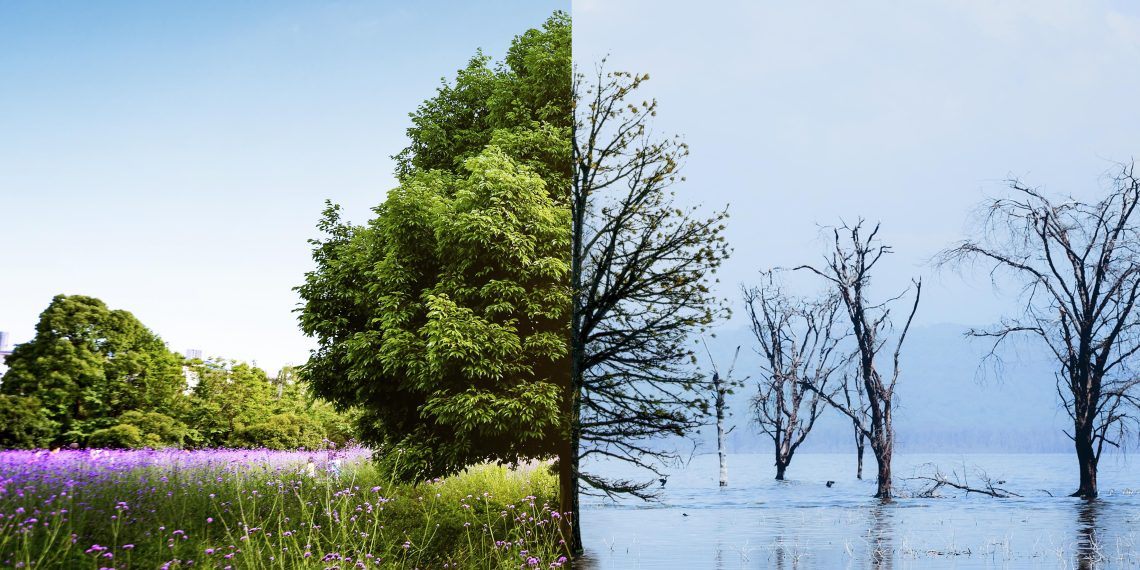 Cambiamento climatico: Chi sono gli eco-imperialisti?