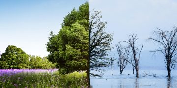 Cambiamento climatico: Chi sono gli eco-imperialisti?