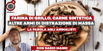 Farina di grillo, carne sintetica e altre armi di distrazione di massa – La parola agli animalisti