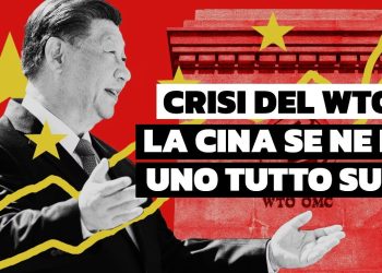Crisi del commercio globale: come la Cina si sta facendo un WTO tutto suo