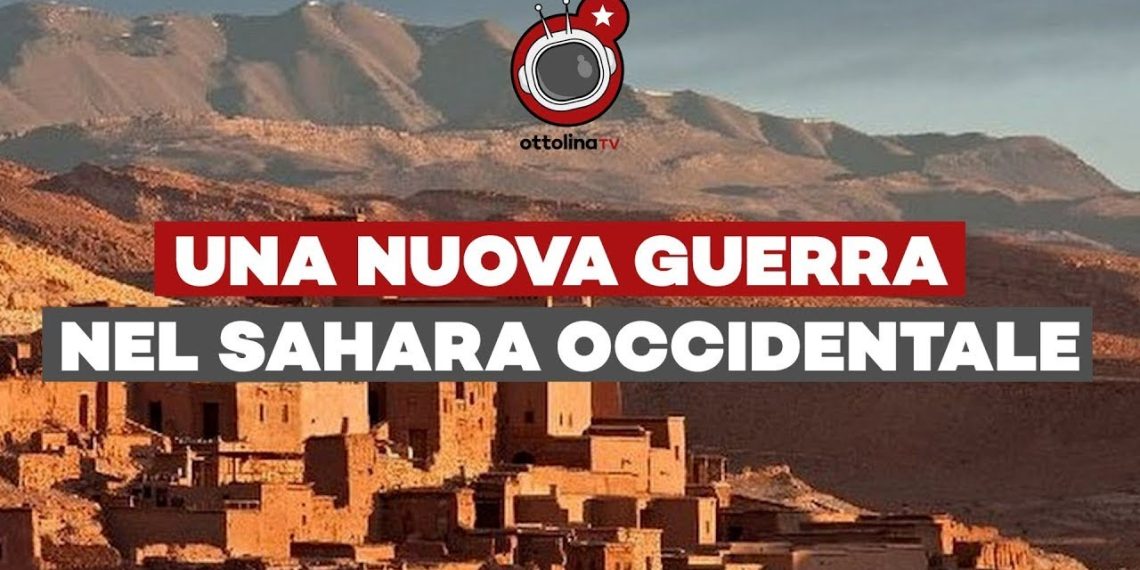 Una nuova guerra nel Sahara Occidentale? – Fiond8lina ep. 3