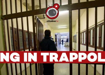 Inferno nelle carceri egiziane: ONG in trappola