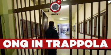 Inferno nelle carceri egiziane: ONG in trappola