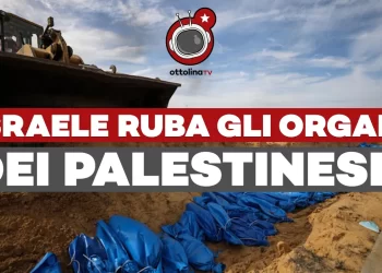 Israele ruba gli organi dei palestinesi?