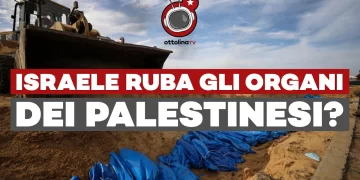 Israele ruba gli organi dei palestinesi?