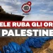 Israele ruba gli organi dei palestinesi?