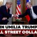 Donald Trump e Vladimir Putin si stringono la mano in un contesto ufficiale