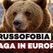 Orso bruno