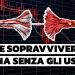 Corda USA e corda cinese con l'ultimo filo che le tiene unite