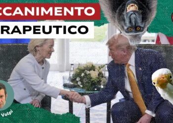 Ursula von der Leyen e Donald Trump si stringono la mano. Oca stupita in primo piano