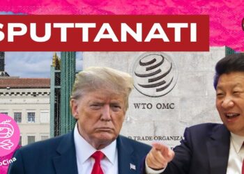 Sede del WTO. Donald Trump e Xi Jinping in primo piano