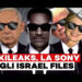 i documenti di Wikileaks che mostrano che Hollywood lavora con Israele per difendere i suoi crimini di guerra