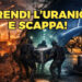 Soldati rubano contenitori di uranio