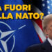 Bandiere della NATO e degli USA. Donald Trump perplesso in primo piano