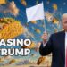 Numerosi tacos cadono dal cielo. Sulla destra, Donald Trump con la bandiera bianca in una mano e un taco nell'altra