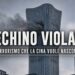 CITIC Tower di Pechino colpita da un aereo ultraleggero